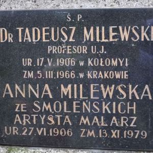 Nagrobek prof. Milewskiego po renowacji.