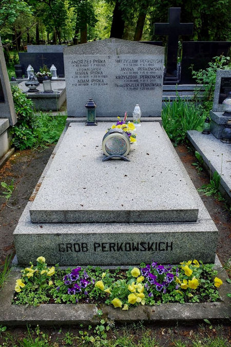 Perkowska